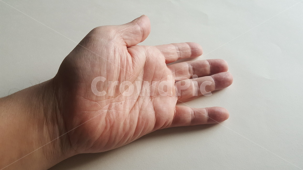 손,손모양,손가락,손바닥,주먹,인체,신체,사람,힘줄,손톱,손가락마디,지문,사람,인물,인간,human,person,신체일부,몸,body