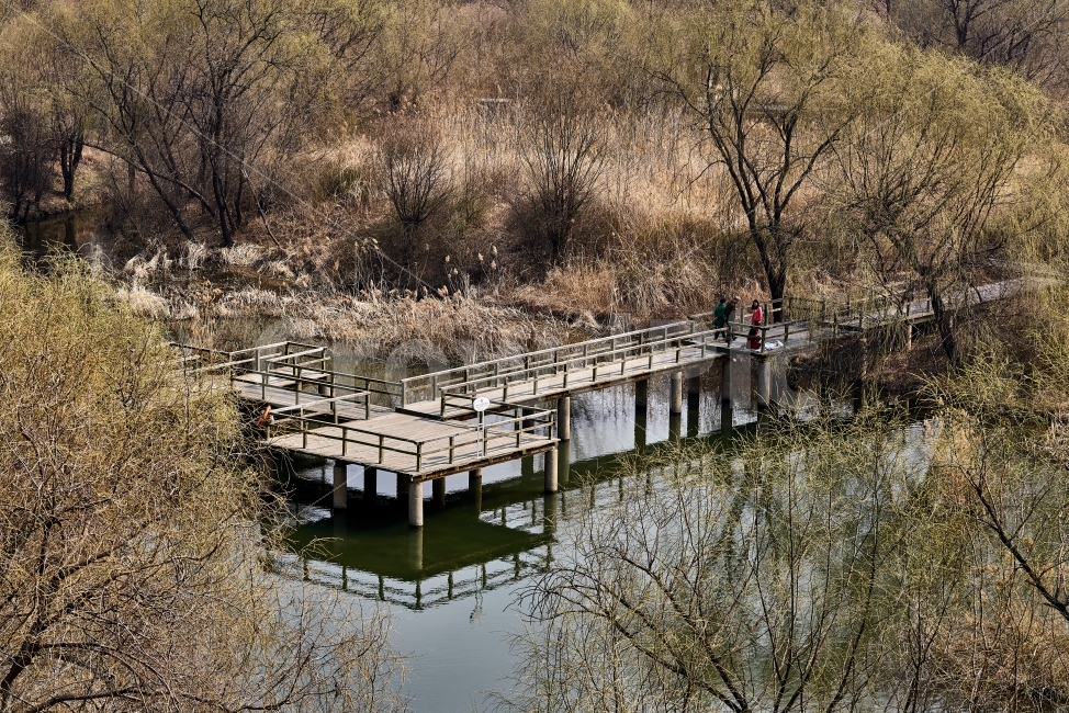 샛강공원,한강,한강샛강공원,봄,다리,녹음,풍경,자연,풍경,nature,landscape,building,건물,water,물,boardwalk,산책로,bridge