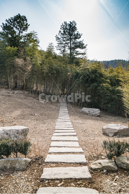 숲,자연,돌다리,나무,풍경,자연,풍경,nature,landscape,ground,바닥,tree,plant,식물,slate,슬레이트