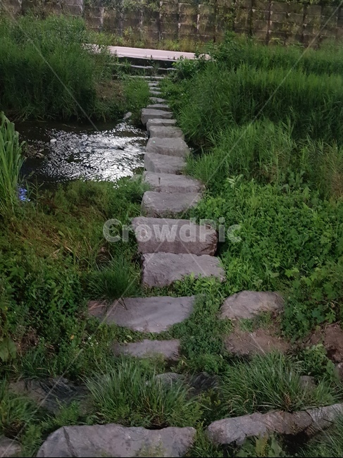 징검다리,돌다리,시냇물,냇물,청계천,성북천