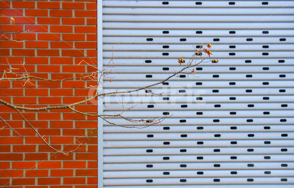건물,나무,단풍,셧터,문,출입구,벽돌,가을,계절,fall,autumn,season,식물,자연,plants,nature