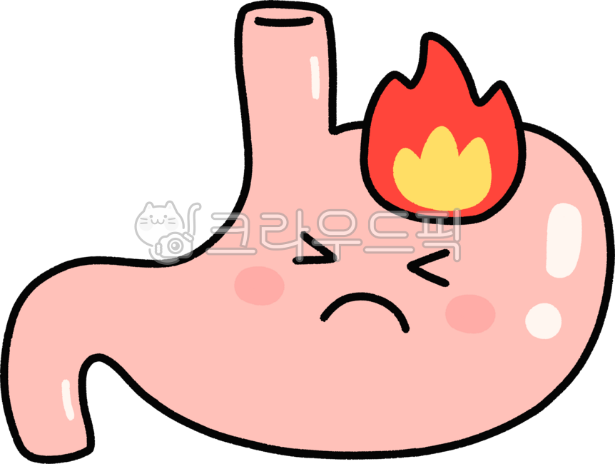 위염,위암,장기,건강,신체기관,소화기관,소화기,내과,복통,내장,위장장애,위장,위,급성위염,위궤양,통증,신경성위염,역류성식도염,만성위염,소화불량,위경련,위장질환,위염증,종양,위통증
