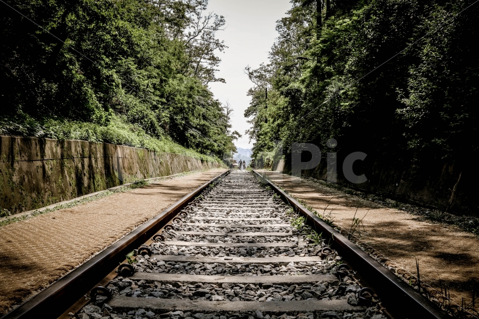 항동,철길,여름,중앙,대칭,감성,스냅,자연,풍경,nature,landscape,교통,교통수단,traffic,transportation,train track,기찻길,rail,레일,railway,철도
