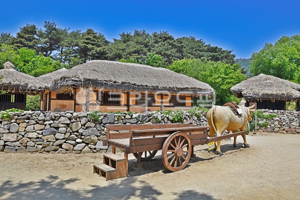 Thatch three times,Oxcart,Asan city,thatched house,stonewall,Oeam Village,jipseongchon,Oeam Folk Village,traditional house