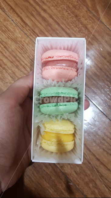 마카롱,삼색,강릉,삼색마카롱,야시장마카롱