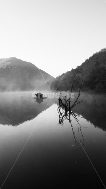 안개,저수지,자연,아침,새벽,어두운,차가운,연기,nature,morning,나무가지,fog,dawn,landscape,자연,풍경,nature,landscape,한국자연풍경,한국자연경관,korea nature landscape,흑백,모노톤,monochrome,black and white,water,물,outdoors,옥외
