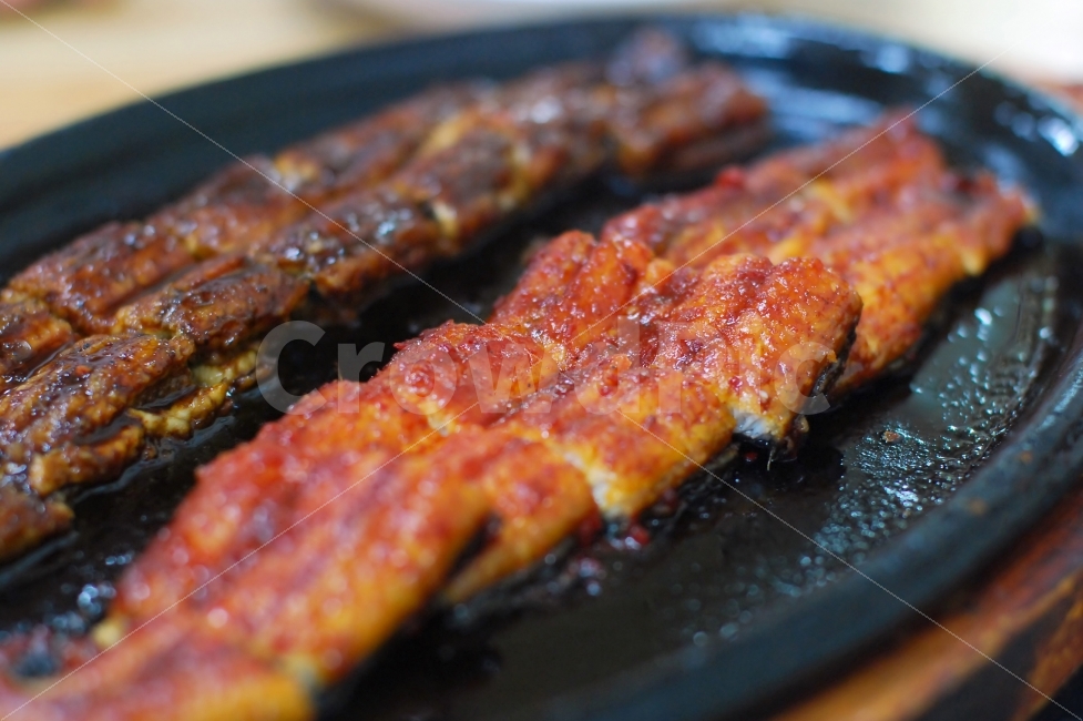 장어,장어구이,구이,뱀장어,보양식,음식,양념,양념구이,한식,생선,음식,식재료,요리,food,cook,meal,dishes,food reserves,수산물,해산물,fishery products,seafood,한식,한국음식,한국요리,korean food,korean dishes,korean meal,korean cook