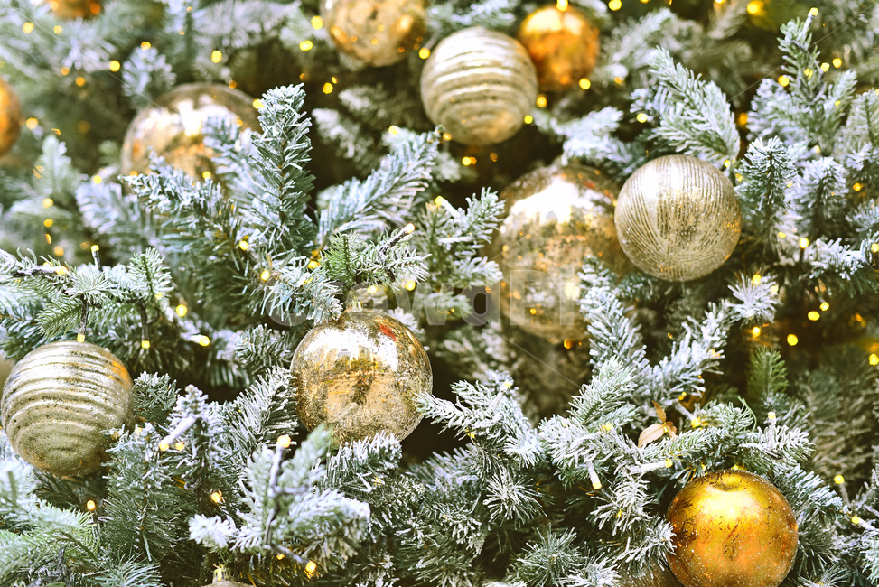 크리스마스,크리스마스트리,츄리,성탄절,xmas,tree,나무,plant,식물,christmas,년말장식,장식물,데코레이션,decoration,성탄볼,ball,크리스마스볼,christmasball,background,백그라운드,배경,바탕,분위기,성탄분위기,성탄배경,계절,시즌,season,금색,은색,동색,silver,golden,황금색,메리크리스마스,성탄절,merry christmas