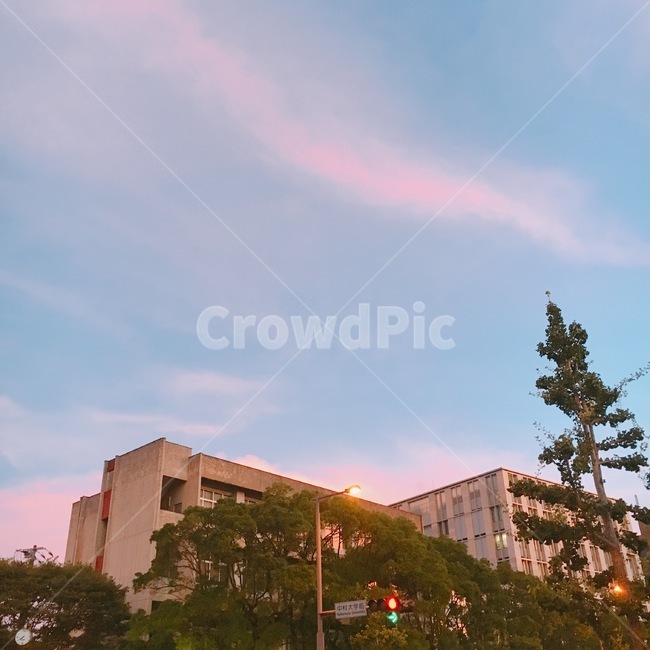 일본,후쿠오카,노을,초저녁,산책,포근,따뜻,동네,감성,자연