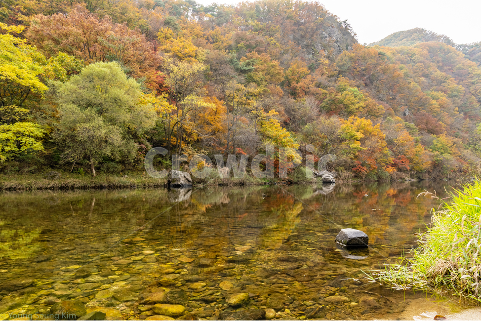 가을,자연,풍경,단풍,계곡,산,나무,물,반영,반사,여행,autumn,fall,vally,mountain,tree,water,reflection