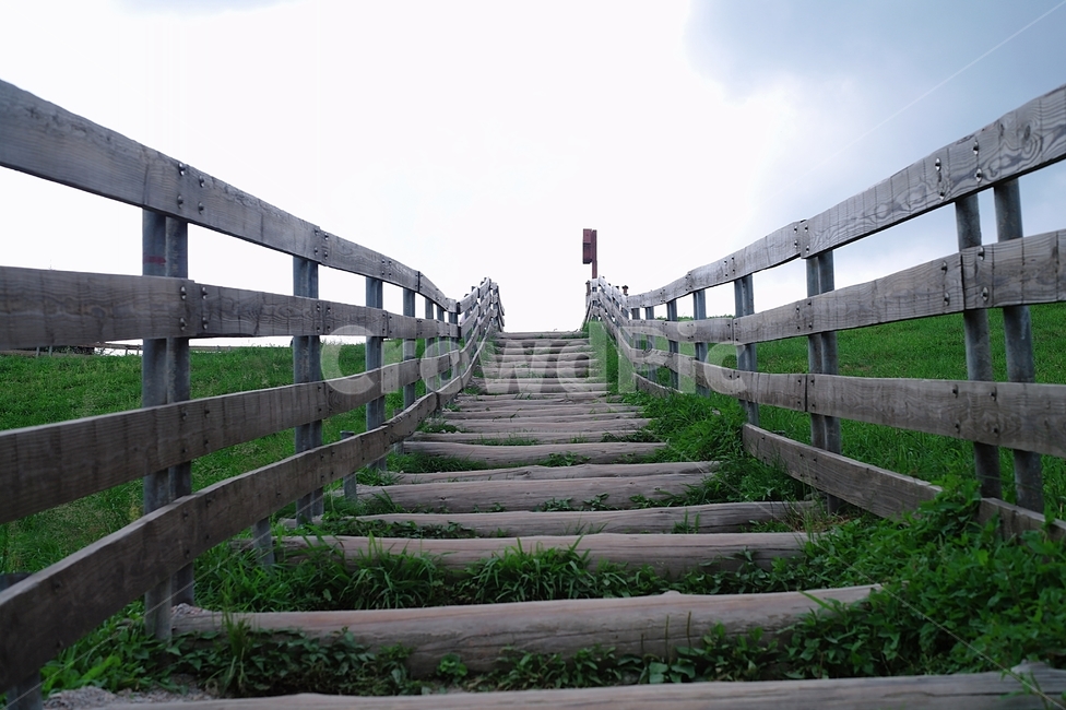 강원도,양떼,양떼목장,계단,태백,stair