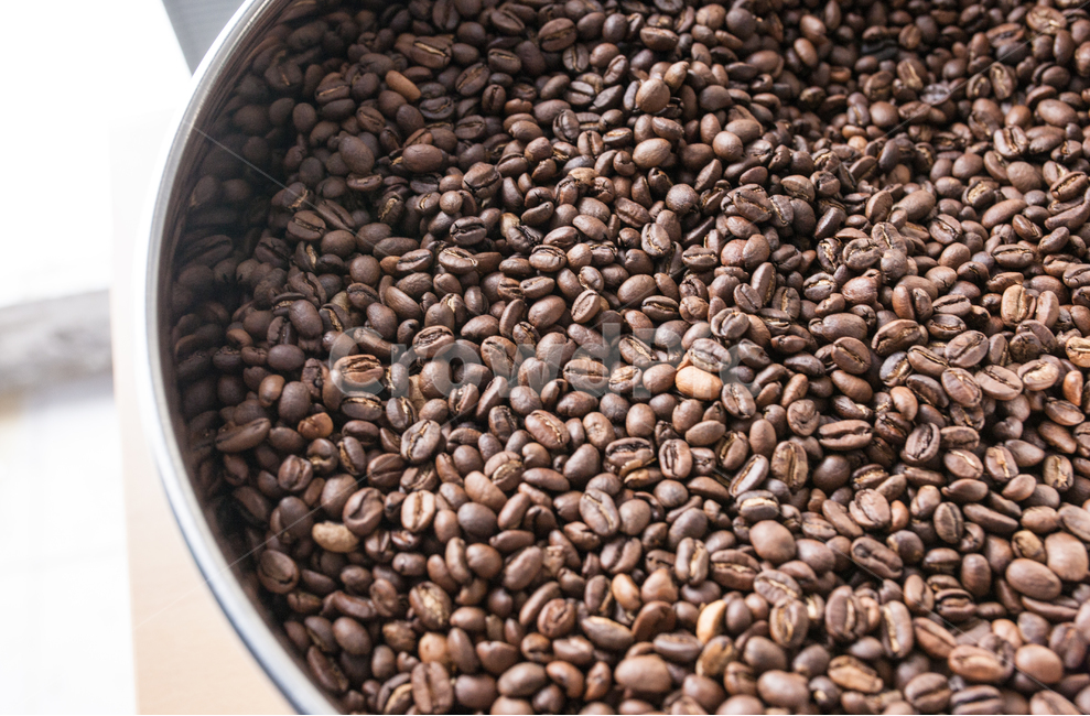 커피,커피원두,원두,로스팅,커피콩,커피,카페,coffee,cafe