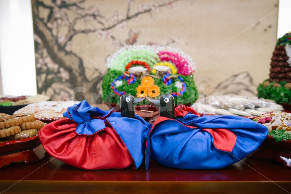 결혼식,폐백,폐백상,기러기,청색,홍색,약과,뽀뽀,전통혼례,전통결혼식,한국전통,한국문화,korean traditional,korean culture,기념일,축하,anniversary,congratulation,celebrate,celebration,결혼,혼례,웨딩,wedding,marriage,marry,사물,물건,오브젝트,thing,object,matter,연출,컨셉,콘셉,direction,concept