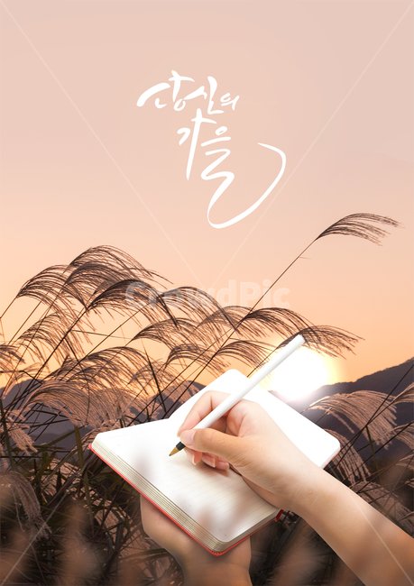 갈대,일몰,핸드모션,펜,볼펜,다이어리,캘리,캘리그라피,손글씨,붓글씨,가을,감성,가을,계절,fall,autumn,season,캘리그라피,손글씨,calligraphy,plant,식물,grass,잔디