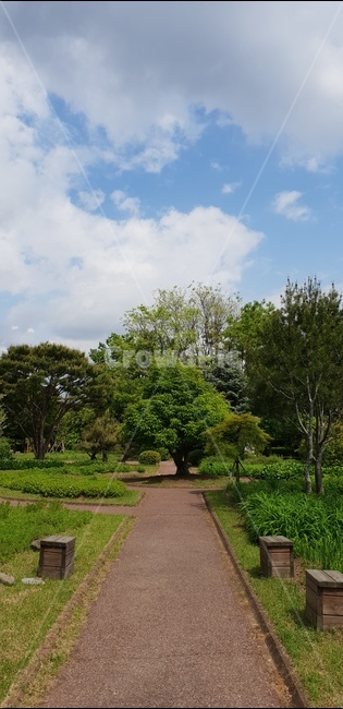 식물,나무,화목원,저원,꽃,자연,풍경,nature,landscape,tree,plant,outdoors,옥외