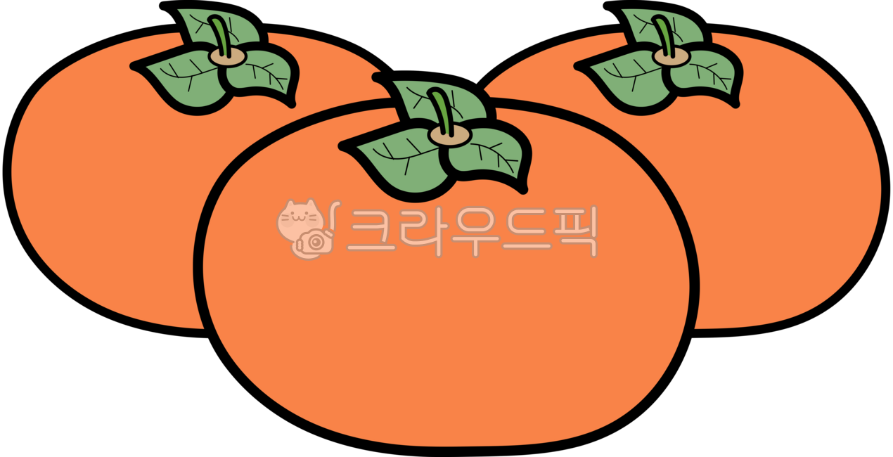 Persimmon,persimmon image,persimmon illustration,sweet persimmon,persimmon,fall,fall fruit,fall element,fall illustration,fall fruit,fruit