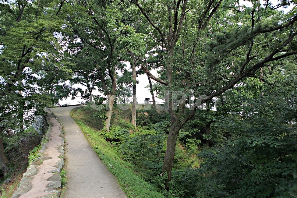 공주산성,성,산성,성곽,길,둘레길,숲,숲길,담,돌담,여름,풍경,벽,방어벽,흙담,나무,식물,유네스코등제