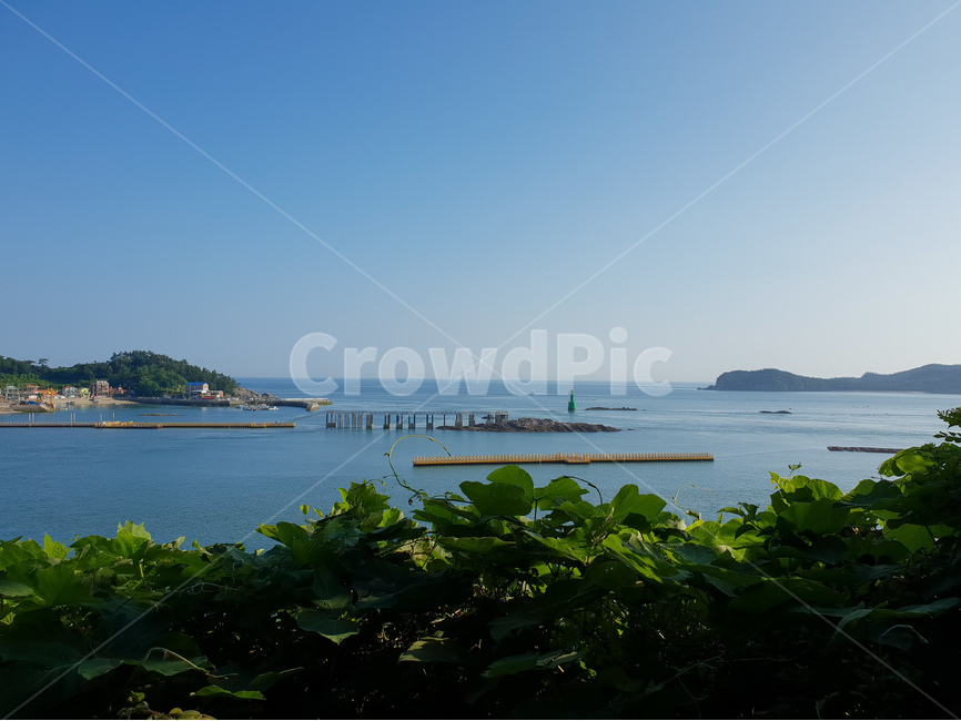 장자도,섬,바다,하늘,풍경,나무,자연,풍경,nature,landscape,land,땅,outdoors,옥외,ocean,대양,sea,water,물,plant,식물,vegetation,초목,shoreline,해안선