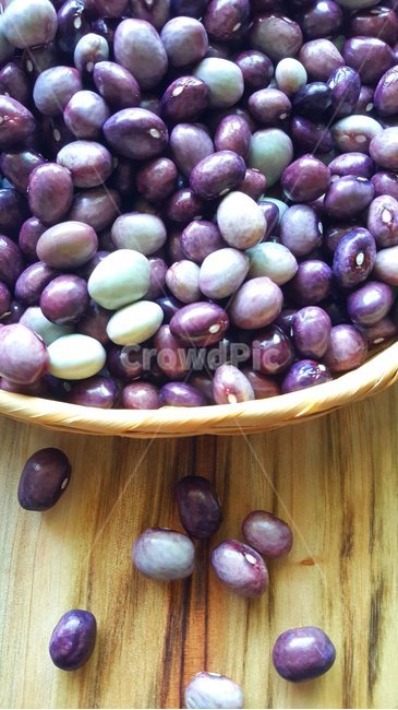 음식,콩,보라색,감성,콩밥,음식,식재료,요리,food,cook,meal,dishes,food reserves,콩류,견과류,beans,pulse,nuts,dry fruits
