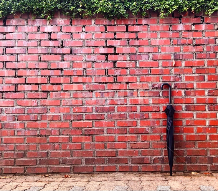 벽,바탕화면,우산,벽돌,배경,사물,물건,오브젝트,thing,object,matter
