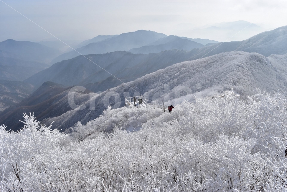 소백산,눈꽃풍경,상고대,겨울풍경,국립공원,겨울동화,눈풍경,파란하늘,100대명산,겨울명산,설경,서리꽃,영동,snow,landscape,전망대,자연,풍경,nature,landscape,겨울,계절,winter,season,outdoors,옥외,mountain range,산맥,mountain,산