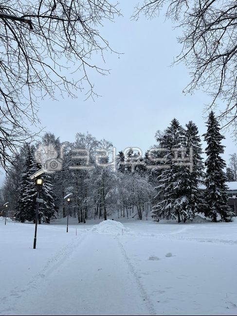 Winter scenery,winter,winter street,sleet,winter forest,snowy scenery,cold wave,cold,midwinter