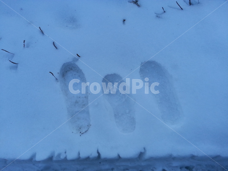 발자국,눈,눈밭,footprint,보폭