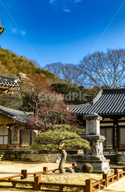 화엄사,사찰,원통전,사자탑,문화유산,문화재,소나무,전통건축물,감성,기와지붕,하늘
