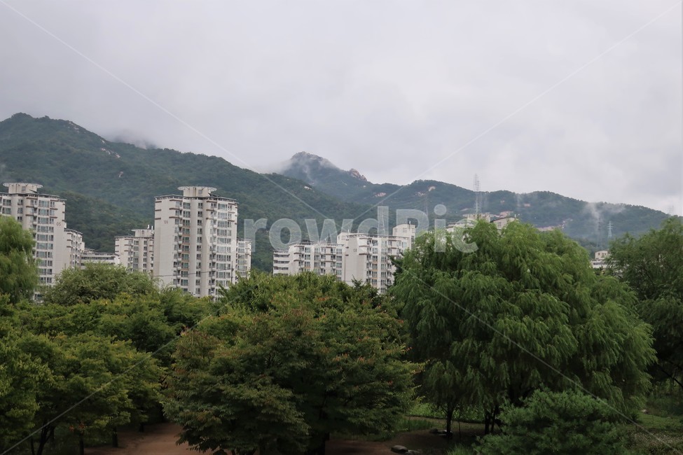 서울,창포원,식물원,도시,공원,습지,조성,숲,산책,산책로,도시,풍경,city,landscape,한국도시풍경,한국도시경관,korea cityscape,urban,어반