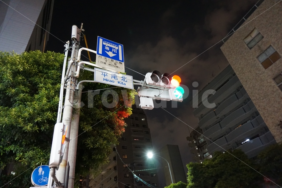 신호등,야경,일본,빨간불,파란불,도시,풍경,city,landscape,교통,교통수단,traffic,transportation,야경,밤,nightscape,night,해외,외국,세계,foreign,oversea,world,light,빛