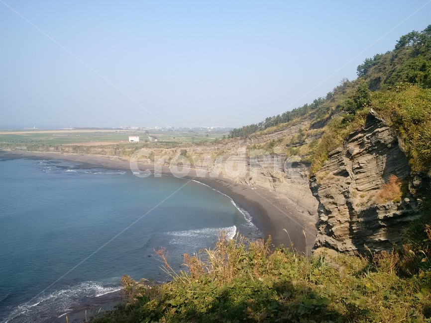 자연,바다,식물,nature,plant,sea