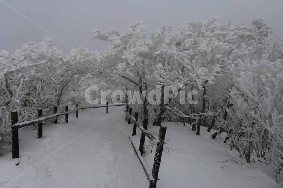 nature,자연,outdoors,옥외,ice,빙,겨울,계절,winter,season,자연,풍경,nature,landscape