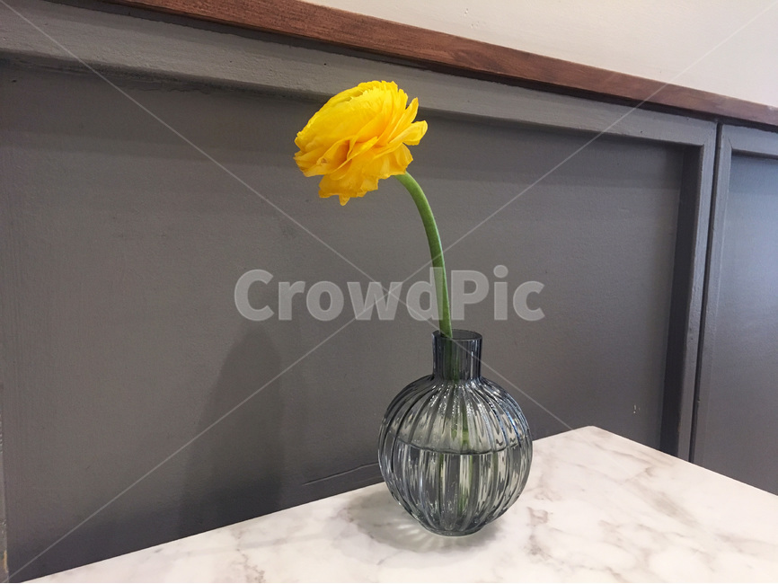 꽃,꽃병,노란,노랑,yellow,봄,카페,분위기,봄,계절,spring,season,식물,자연,plants,nature,꽃,flower,실내용화초,화분,화초,house plant,인테리어,실내디자인,interior design,plant,vase,병 장식,jar,항아리,pottery,도기류