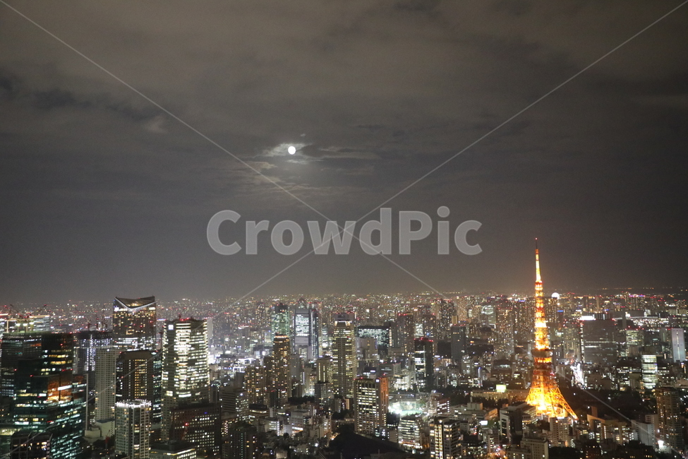 도쿄,동경,야경,도쿄타워,밤하늘,도시전경,밤도시,타워,야경,밤,풍경,nightscape,night,landscape,도시,city,랜드마크,landmark,tourist attraction,해외,외국,세계,foreign,oversea,world,세계도시풍경,해외도시풍경,외국도시풍경,world cityscape,세계랜드마크,해외랜드마크,외국랜드마크,world landmark,world tourist attraction,nature,자연,outdoors,옥외,경치