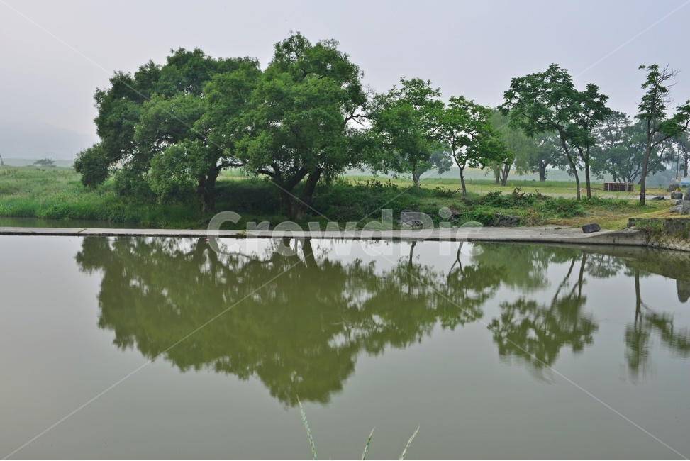 나주,남평,드들강,반영,sunlight,햇빛,weather,날씨,tree,나무,plant,식물,nature,자연,outdoors,옥외,water,물