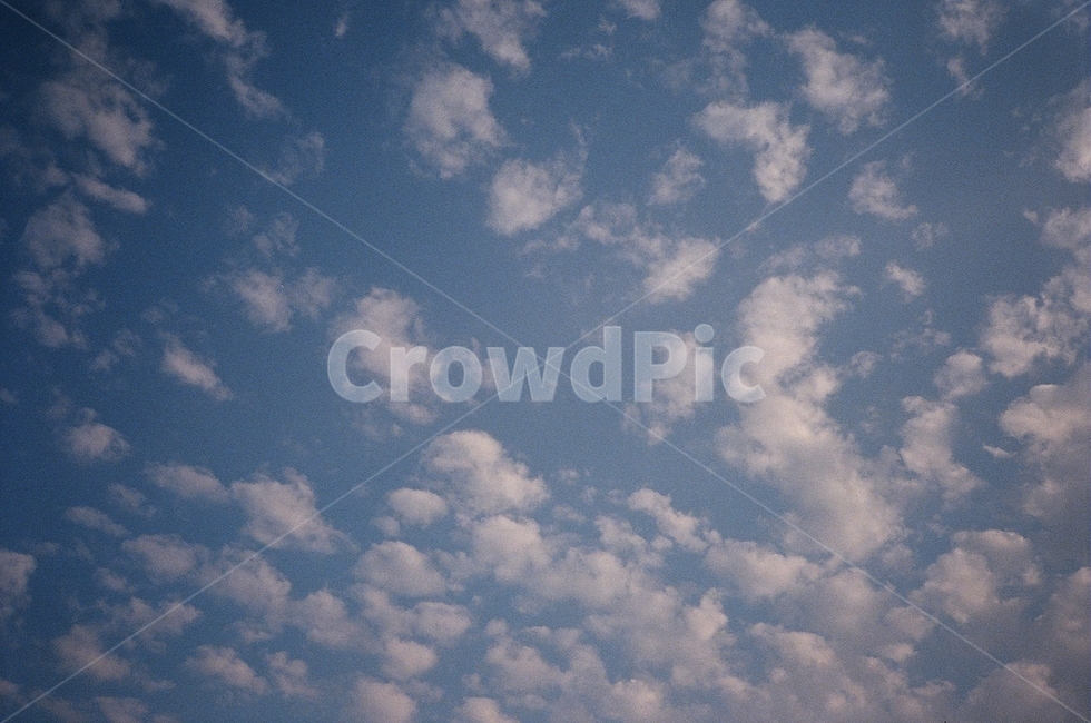 하늘,구름,sky,cloud,자연,nature,필름,필름사진,film,tree