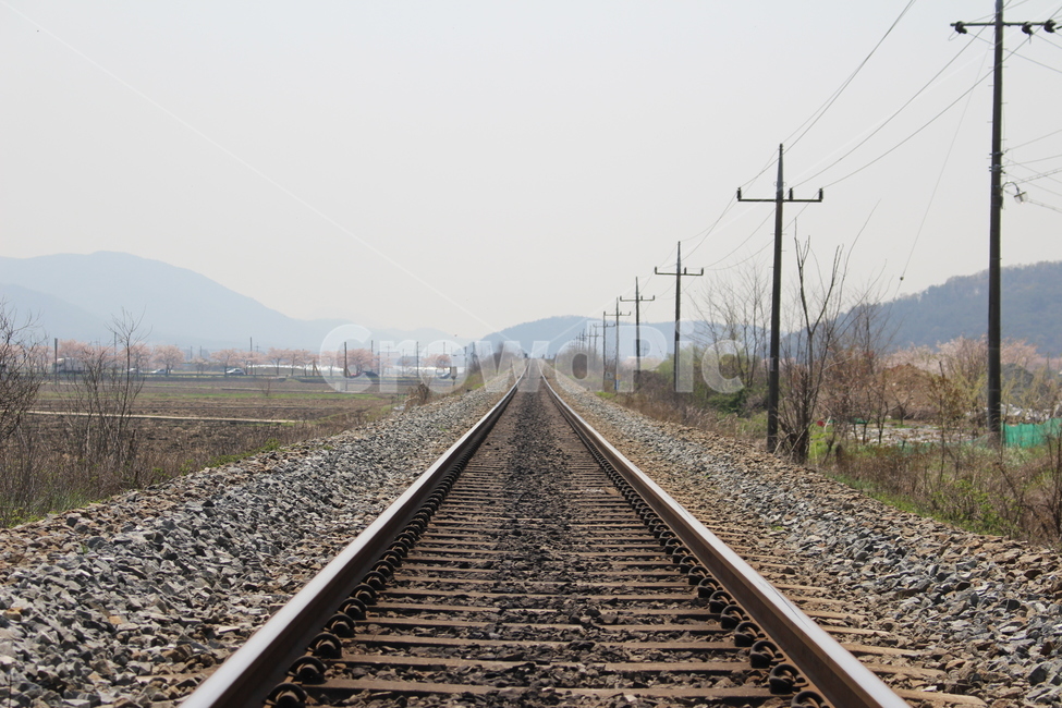 railway,철도,traintrack,기찻길,rail,교통,transportation,레일,교통,교통수단,traffic,transportation