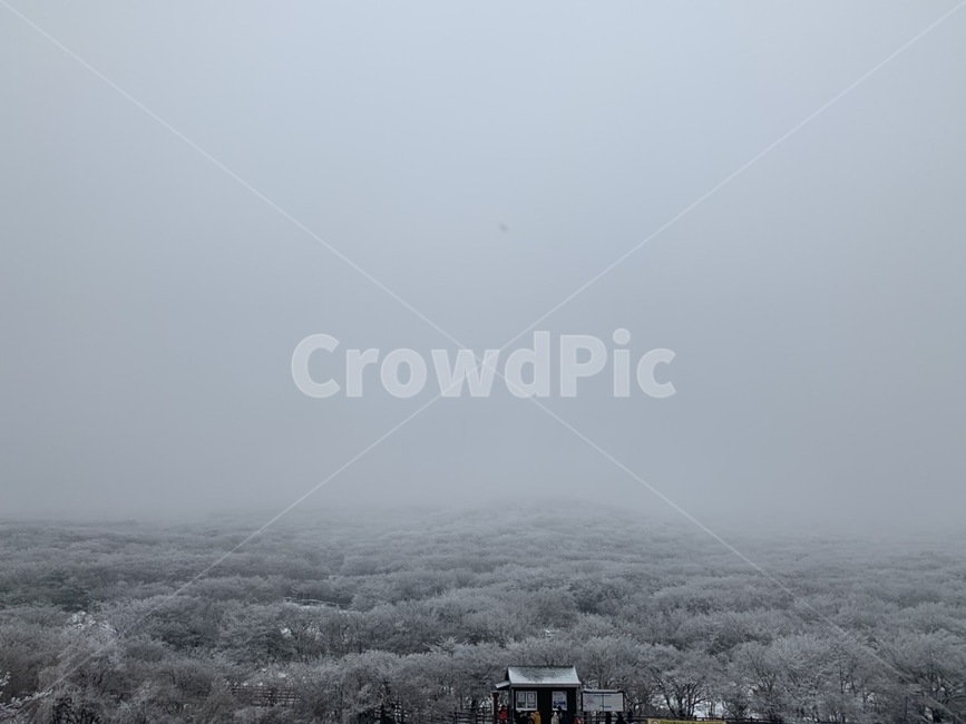 제주도,1100고지,눈,겨울,산,jeju,snow,나무,자연,풍경,겨울,계절,winter,season,자연,풍경,nature,landscape,weather,날씨,outdoors,옥외