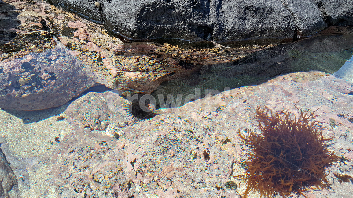 바다,물,water,해안가,해변