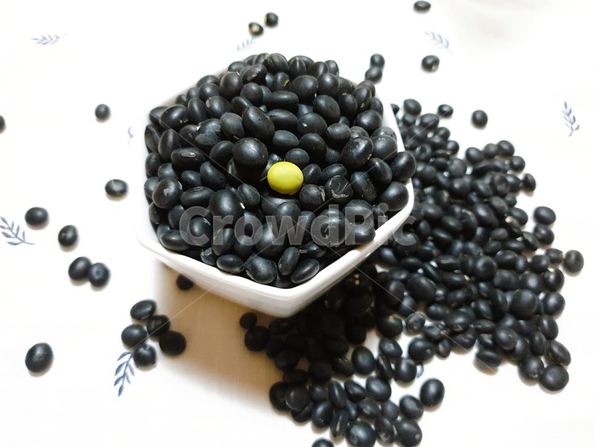 서래태콩,서리태,콩,야채,식품,food,콩류,견과류,beans,pulse,nuts,dry fruits