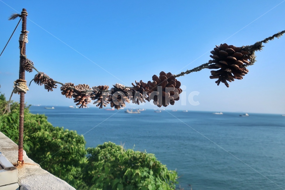 전선줄,부산,바다,솔방울,흰여울마을,여름,낮,korea