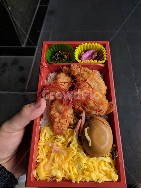 일본,기차,도시락,일식,음식,음식,식재료,요리,food,cook,meal,dishes,food reserves
