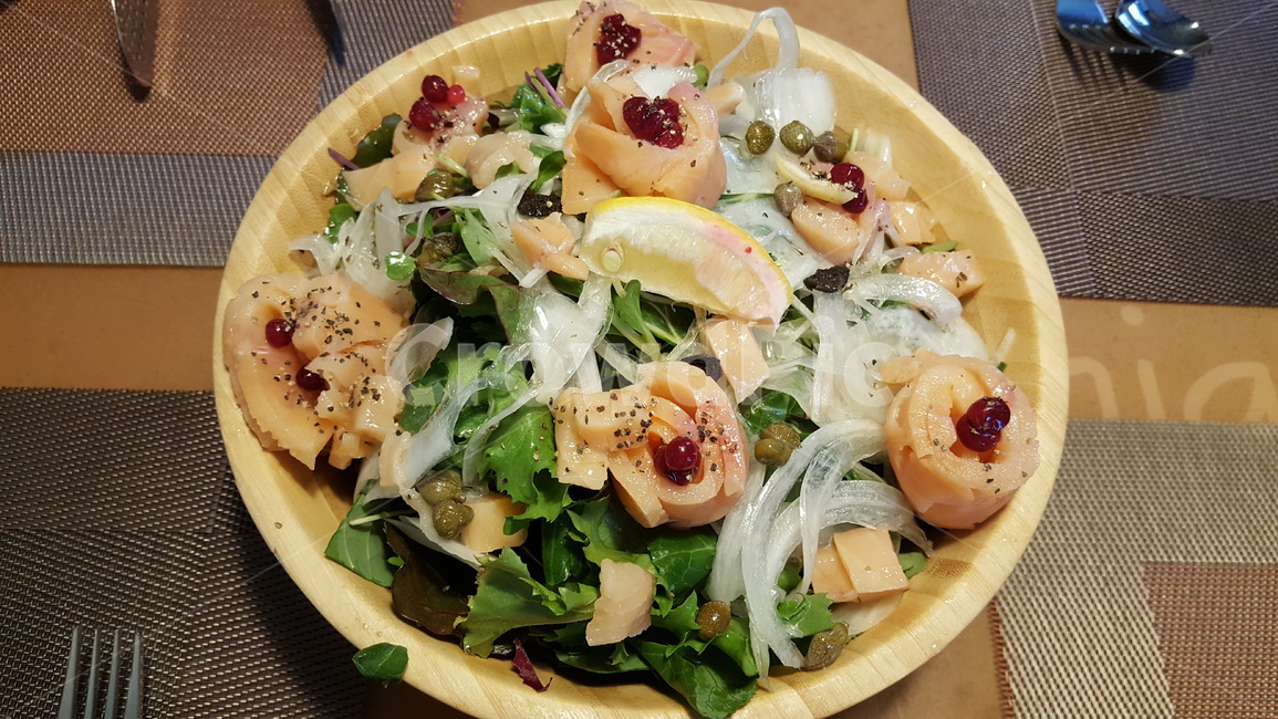 샐러드,야채,채소,음식,요리,연어,연어샐러드,음식,식재료,요리,food,cook,meal,dishes,food reserves