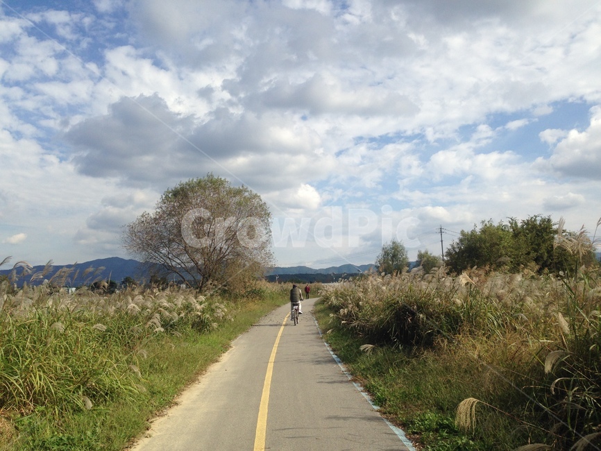 길,산책길,자전거길,자연,풍경,휴식,road,bicycle,human,인간,피크닉