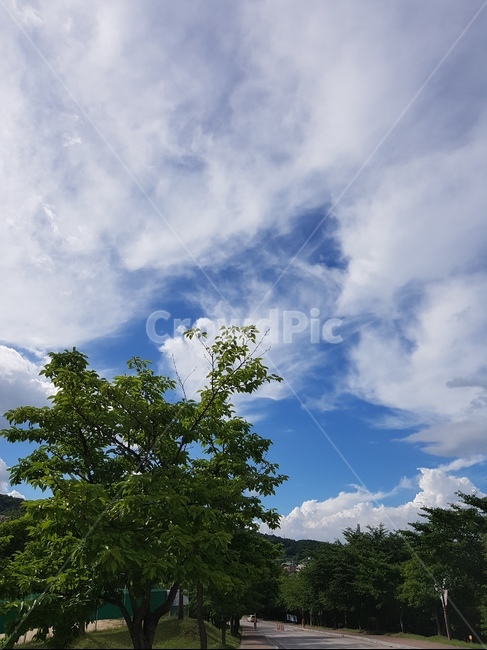 자연,nature,weather,날씨,outdoors,옥외,sky,하늘,구름,cloud