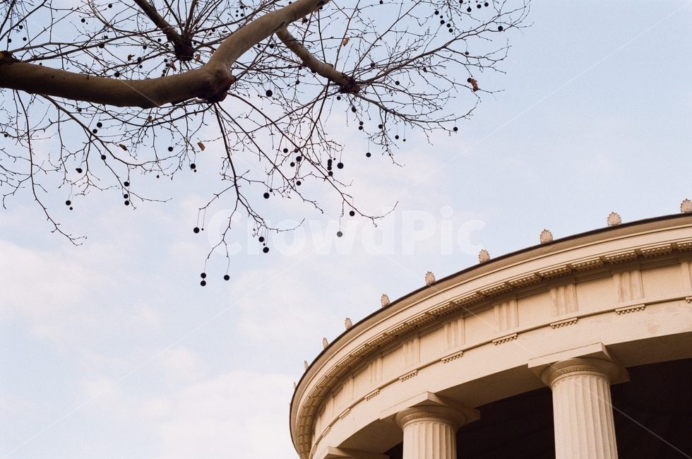 하늘,스카이,구름,파랑,나뭇가지,하늘풍경,건축물,건물외관,exterior,building,structure,architecture,construction