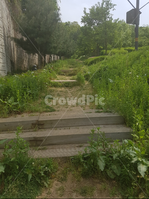 계단,숲길,오르막길,길,산책,자연,풍경,nature,landscape