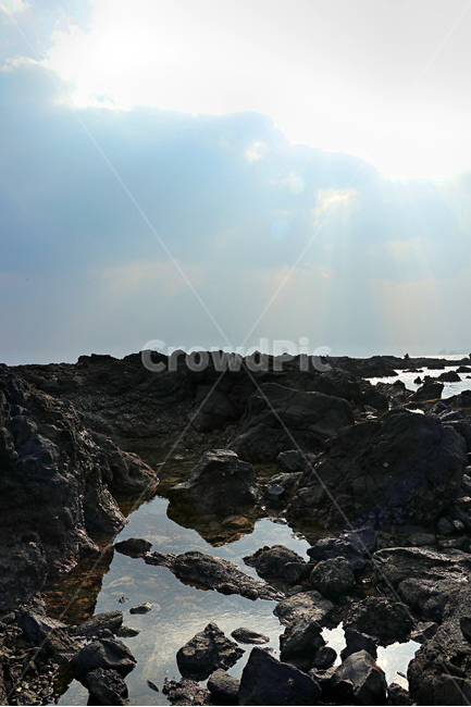 제주도,서귀포,박수기정,해안가,바다,풍경,옥외,자연,outdoors,nature