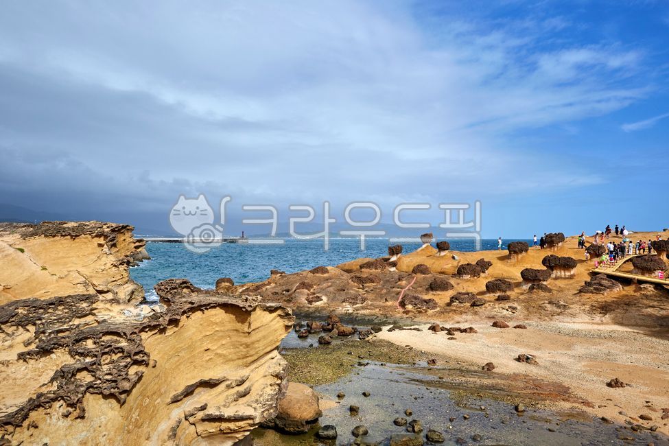 예류,예류지질공원,기암괴석,산호조각,대북,대만,바위,해외,공원,풍경,자연,바다,관광지,침식,풍화,풍화작용,타이베이,타이완,아시아