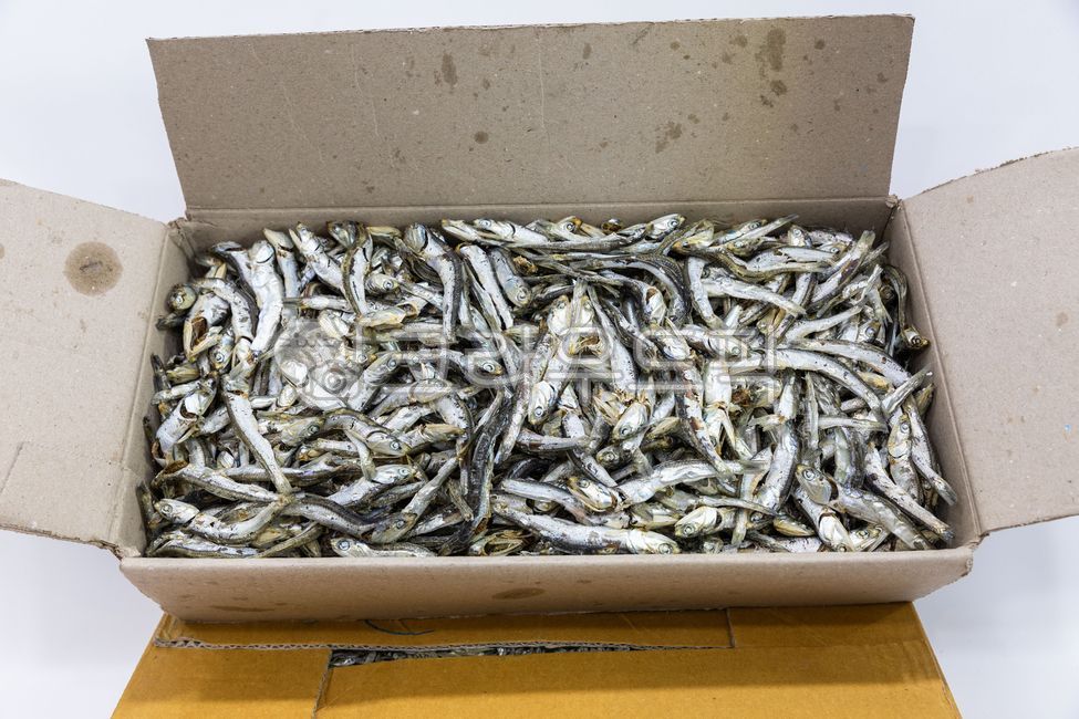 seafood,small anchovies,process,calcium,ingredient,dry,dried anchovies,food,big anchovy,dried fish,side dish,market,anchovy,fish,ingredients,dry food,mass destruction
